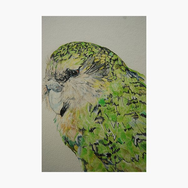 Item preview, Kakapo designed and sold by lizdomett.