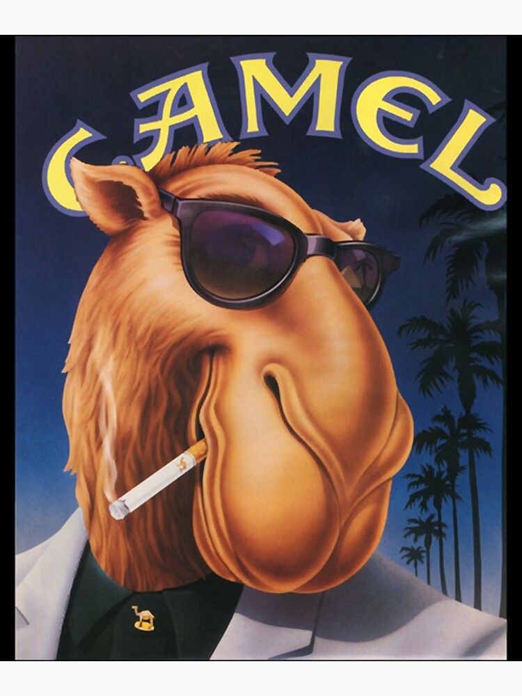 Camel Cigarettes 