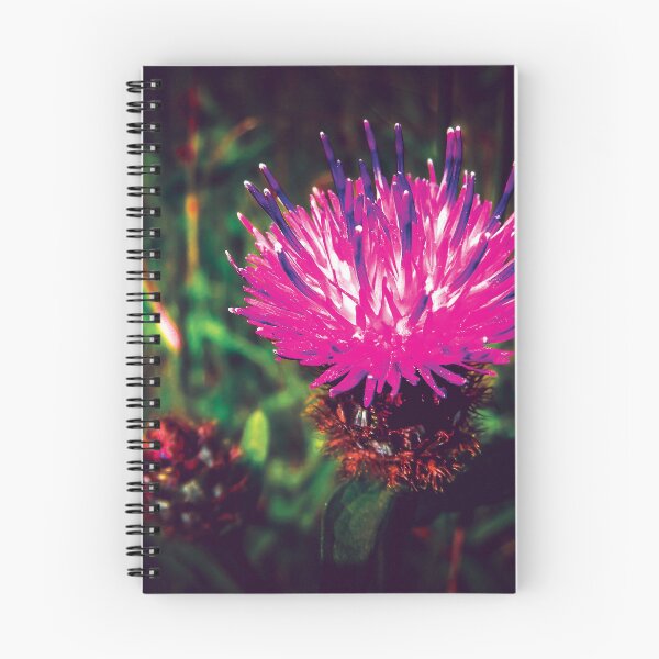 Item preview, Purple Thistle Flower designed and sold by QuarterMoon.