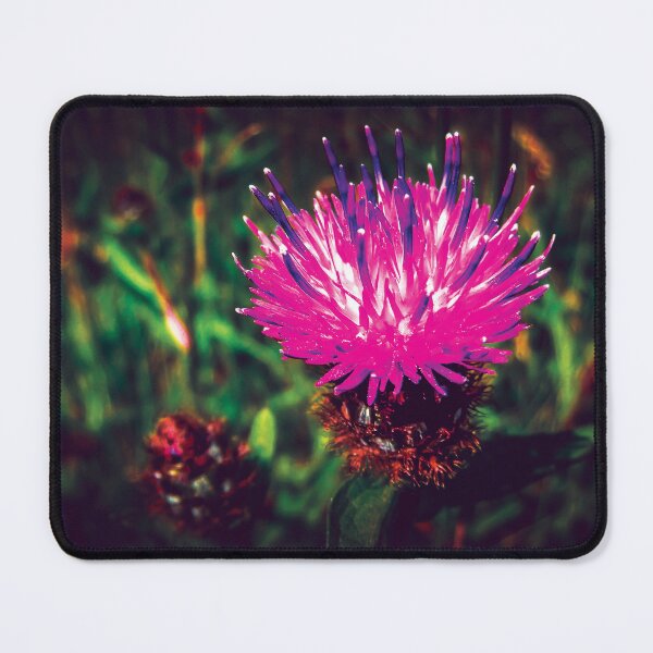 Item preview, Purple Thistle Flower designed and sold by QuarterMoon.