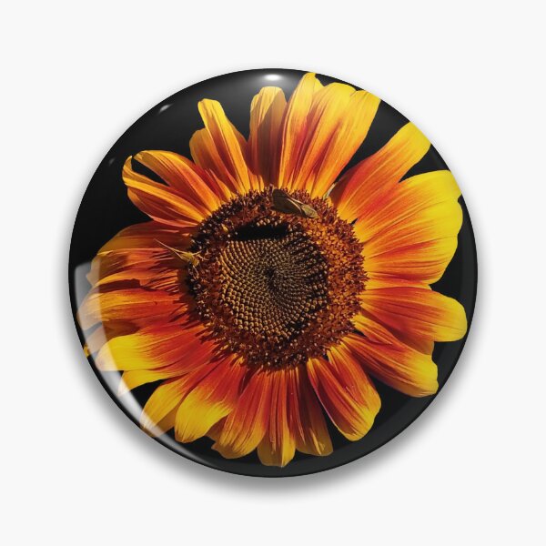 Item preview, Field Guide to Sunflowers, No. 2, Crimson Queen designed and sold by Kristi Duggins.