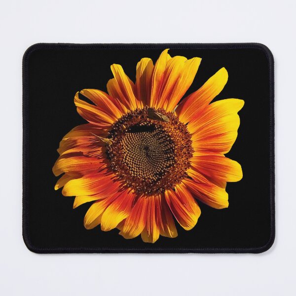 Item preview, Field Guide to Sunflowers, No. 2, Crimson Queen designed and sold by Kristi Duggins.