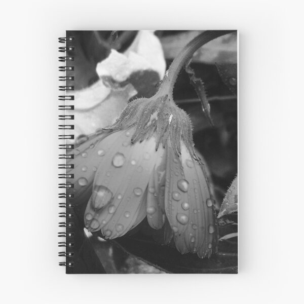 Item preview, Dark Rain designed and sold by DesJardins.