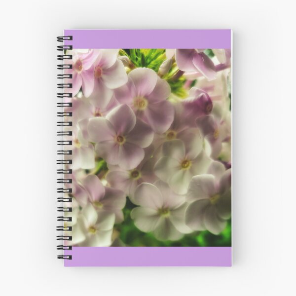 Item preview, Holy Phlox !! designed and sold by StarZ33.