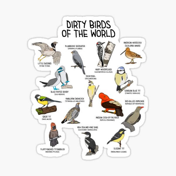 Item preview, Dirty Birds Of The World Funny Bird Watcher Birdwatching  designed and sold by JessieJune.