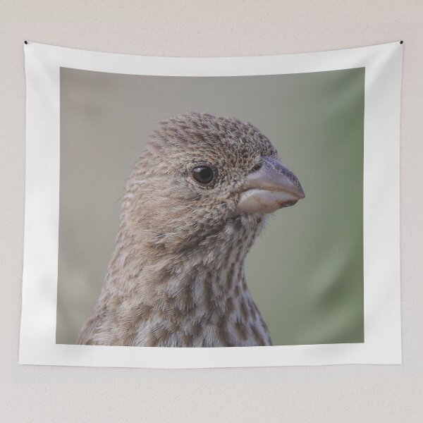 Item preview, A Finch Animal Portrait designed and sold by FreelanceJim.