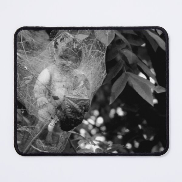 Item preview, Spider Baby designed and sold by Gregory James Wyrick.