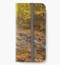 Cascades iPhone Wallet/Case/Skin