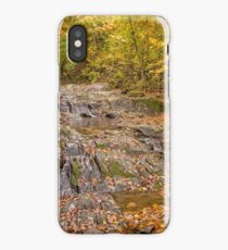 Cascades iPhone Case
