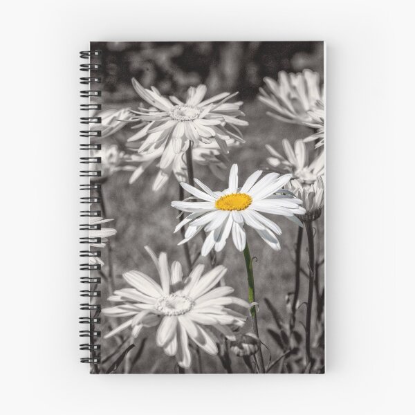 Item preview, Daisies - selective colour designed and sold by PhotosByHealy.