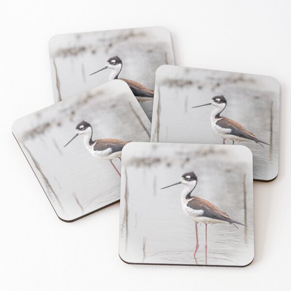 Item preview, Black-necked Stilt designed and sold by oliviasphotos.