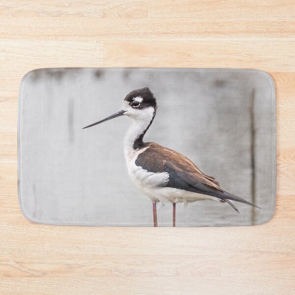 Item preview, Black-necked Stilt designed and sold by oliviasphotos.