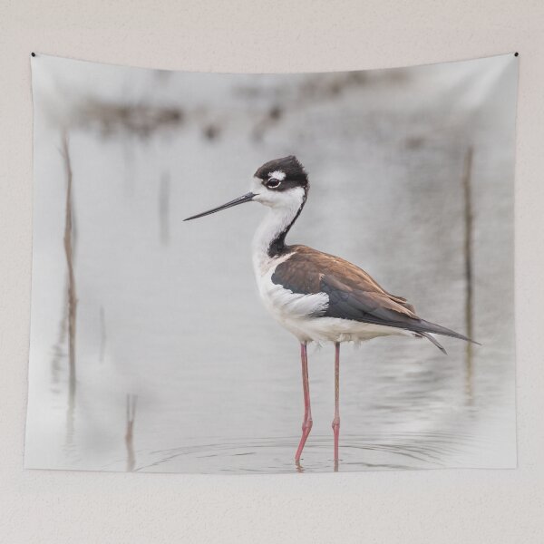Item preview, Black-necked Stilt designed and sold by oliviasphotos.