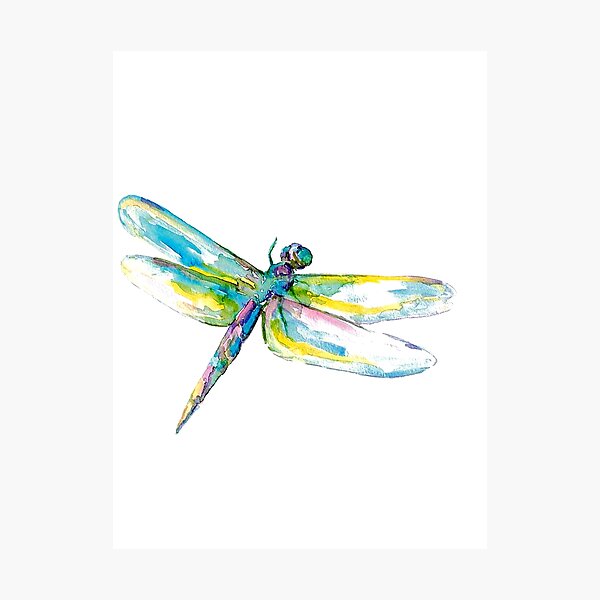 Watercolor Dragonfly Tattoo Design - Tattoos Designs