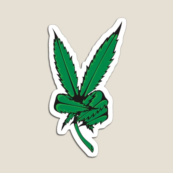 WEED FRIDGE FREEZER MAGNET CANNABIS IT'S 4:20 SOMEWHERE BLAZE IT 