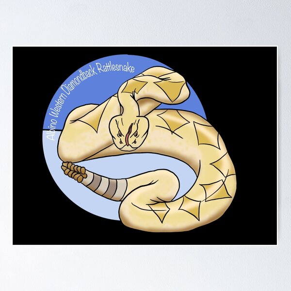 Item preview, Albino Western Diamondback Rattlesnake  designed and sold by IronGator.