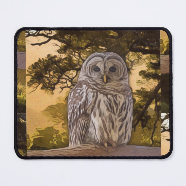 Item preview, Tawny Owl Artwork designed and sold by NikkiBear67.