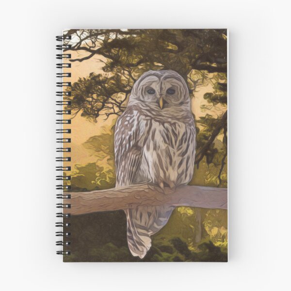 Item preview, Tawny Owl Artwork  designed and sold by NikkiBear67.