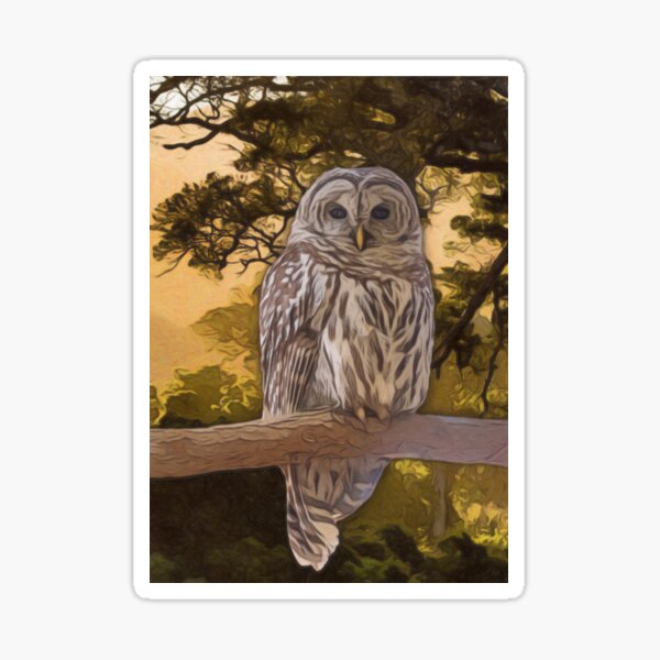 Item preview, Tawny Owl Artwork  designed and sold by NikkiBear67.