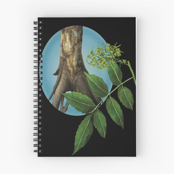 Item preview, Tropical and subtropical dry broadleaf forests designed and sold by EVALYNAHUGHES.