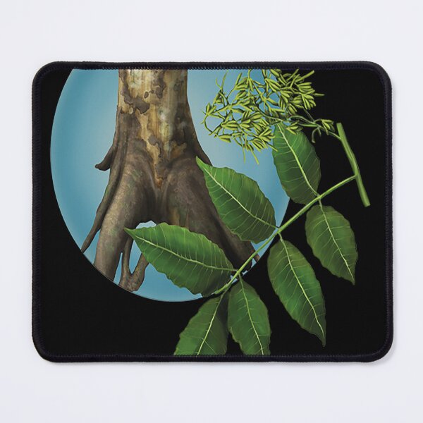 Item preview, Tropical and subtropical dry broadleaf forests designed and sold by EVALYNAHUGHES.