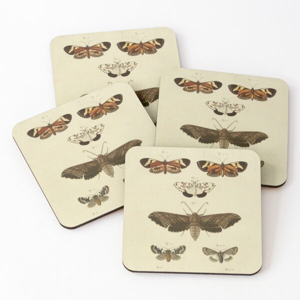Item preview, Naturalist Moths designed and sold by BlueSpecsStudio.