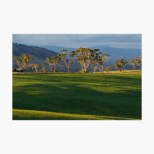 Item preview, Omeo designed and sold by Darren Stones.