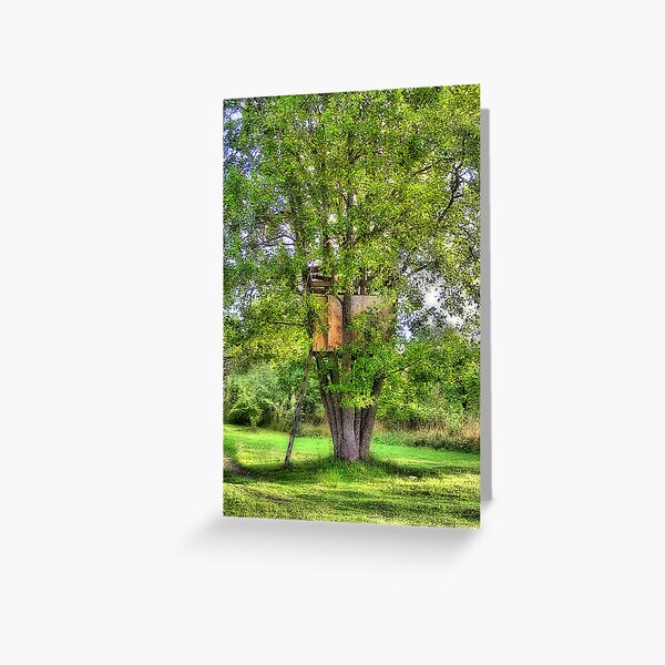 Treehouse Greeting Card