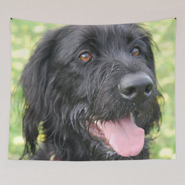 Item preview, Labradoodle designed and sold by lizdomett.