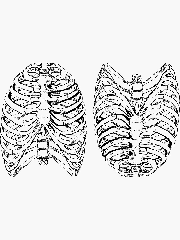 "Rib Cage Duo" Sticker for Sale by TheRockStudio Redbubble