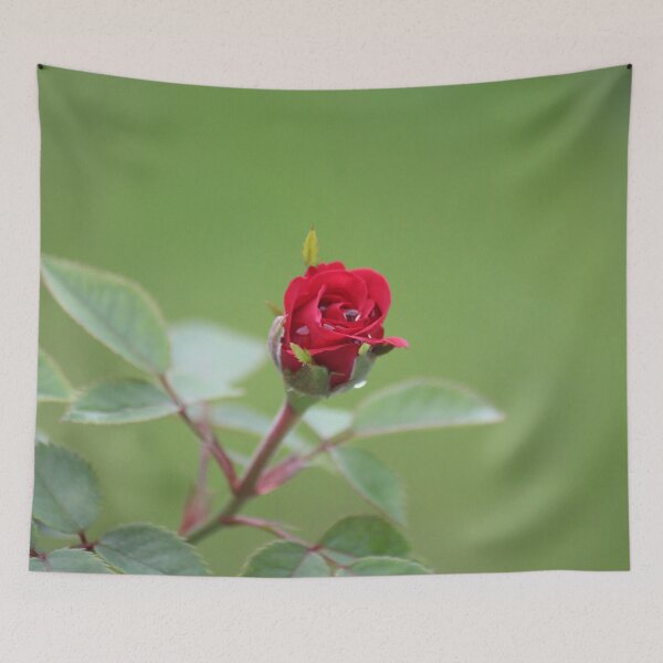 Item preview, New Rose designed and sold by Bob Hardy.