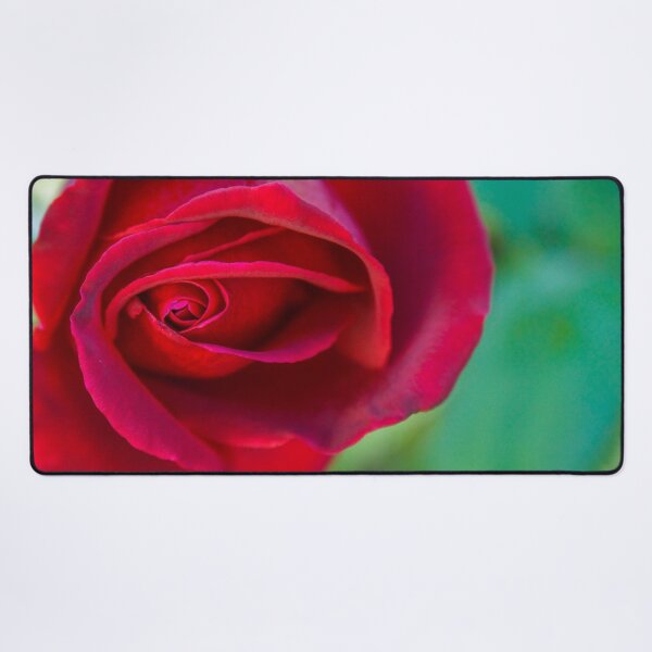 Item preview, Red Rose Macro designed and sold by Steven Jodoin.