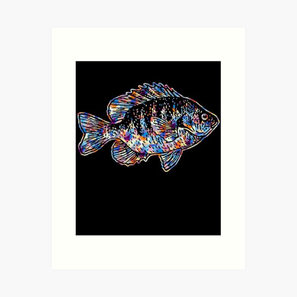 Bluegill Illustration Fishing Pullover design Art Print for Sale