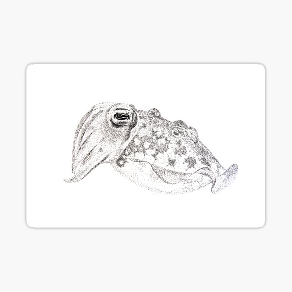 Red cuttlefish ink drawing - Sepia mestus Sticker