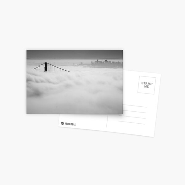 Dense Fog Postcard