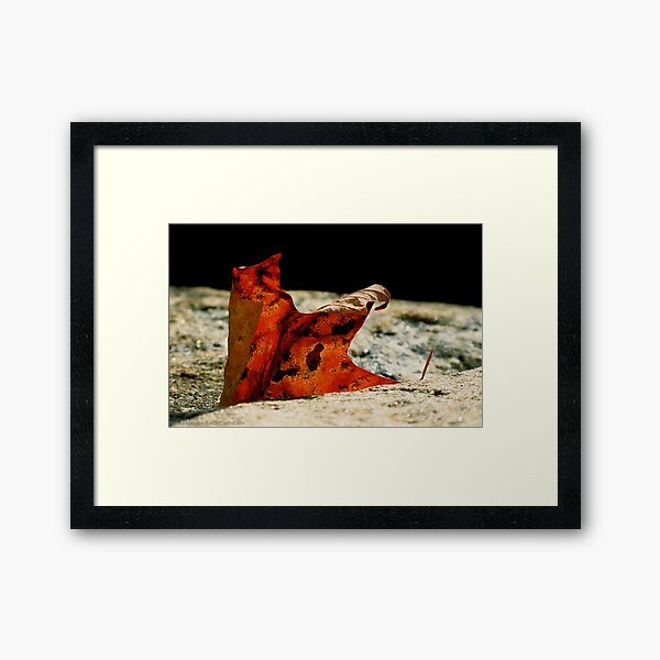 Emergence Framed Art Print