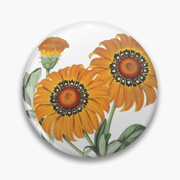Item preview, Bright Yellow Gazania Botanical Art Flower Bunch designed and sold by MochaMeli.