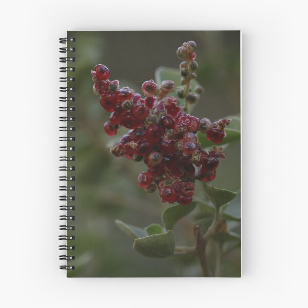 Item preview, Bush Walk 2 designed and sold by beeden.