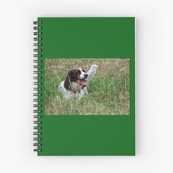 Item preview, Springer Spaniel........... Woking , Surrey...UK designed and sold by lynn carter.