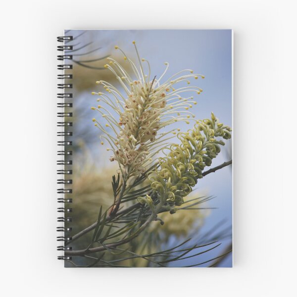 Item preview, A couple of Grevillea designed and sold by Lozzar Flowers & Art.