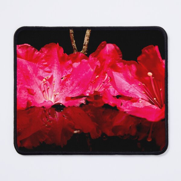 Item preview, Red flowers floating on water designed and sold by Pickleisgreen.