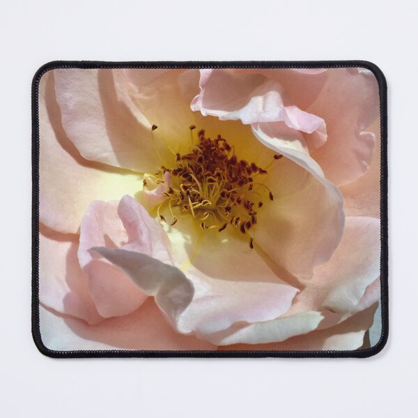Item preview, Fading rose designed and sold by Pickleisgreen.