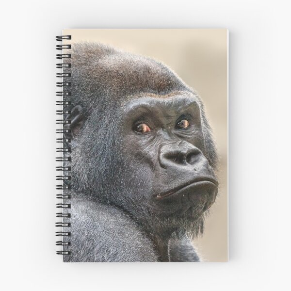 Item preview, Silverback Pout designed and sold by Owed To Nature.