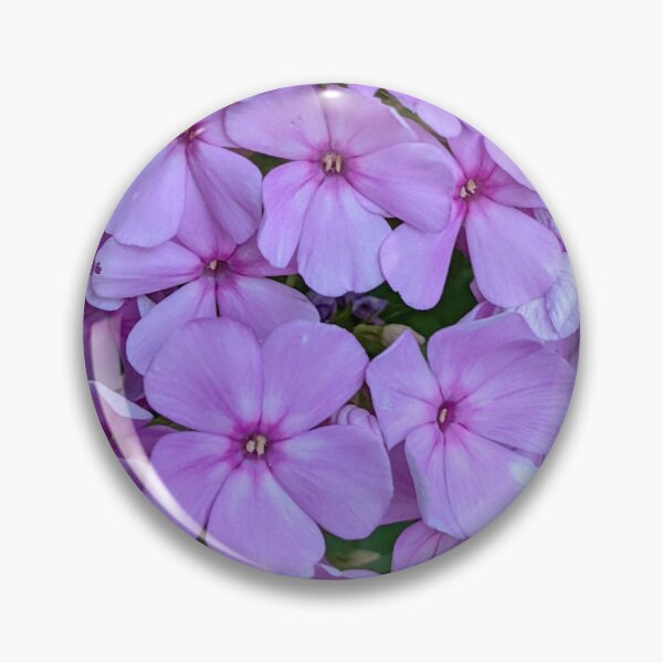 Item preview, Phlox Flower Cluster designed and sold by arfff.