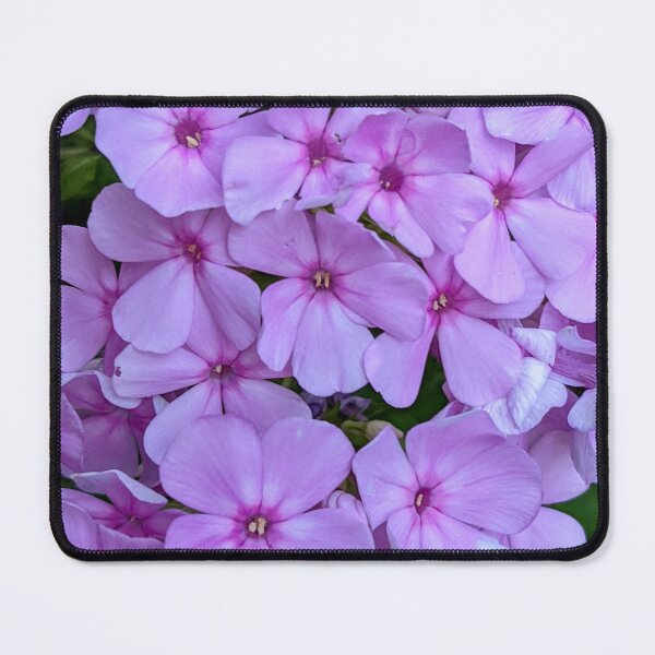 Item preview, Phlox Flower Cluster designed and sold by arfff.