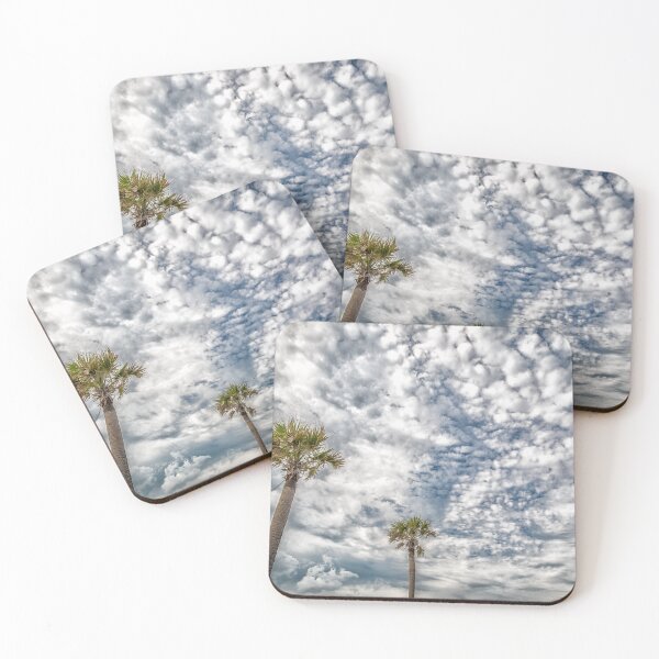 Item preview, Palm Coast, Florida designed and sold by GestaltImagery.