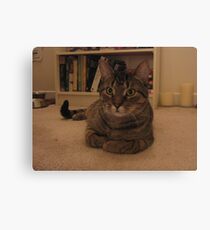 I'm Ready For My Close Up Canvas Print