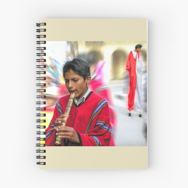 Item preview, Ecuadorian street musician designed and sold by indiafrankk.
