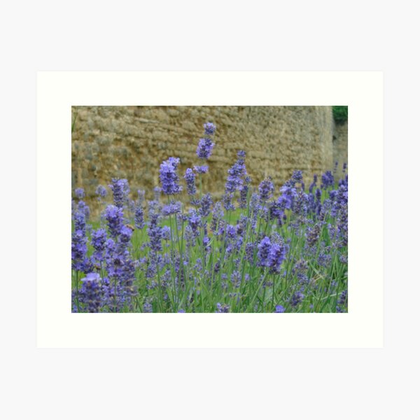 Item preview, Lavender designed and sold by Karen Chard.