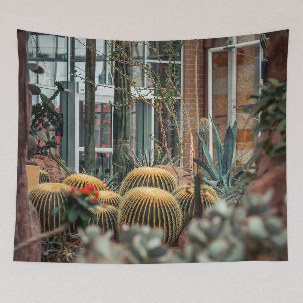 Item preview, Shot into the arid garden through an arch designed and sold by Michael Deemer.